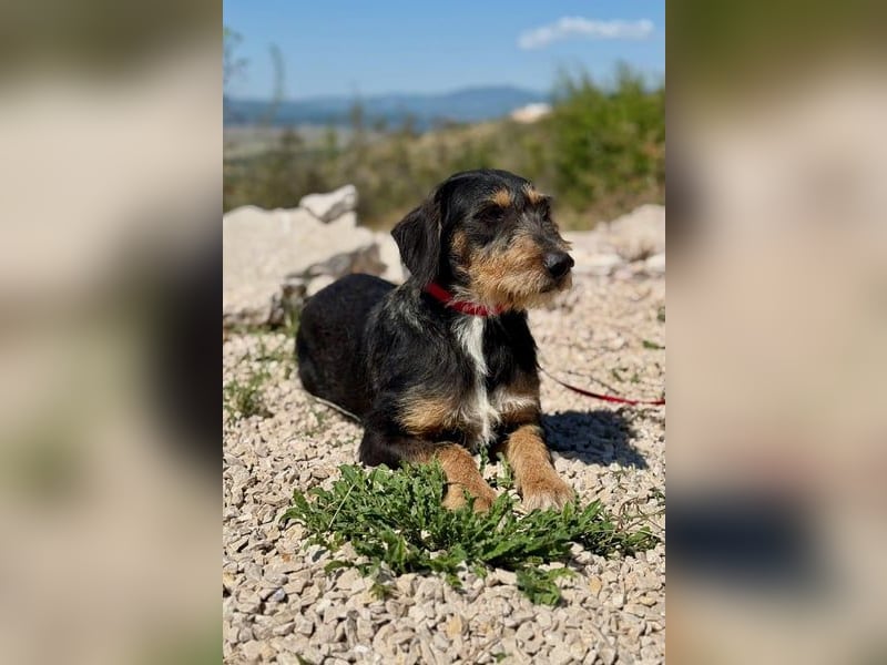 Rüdiger sucht seine Menschen