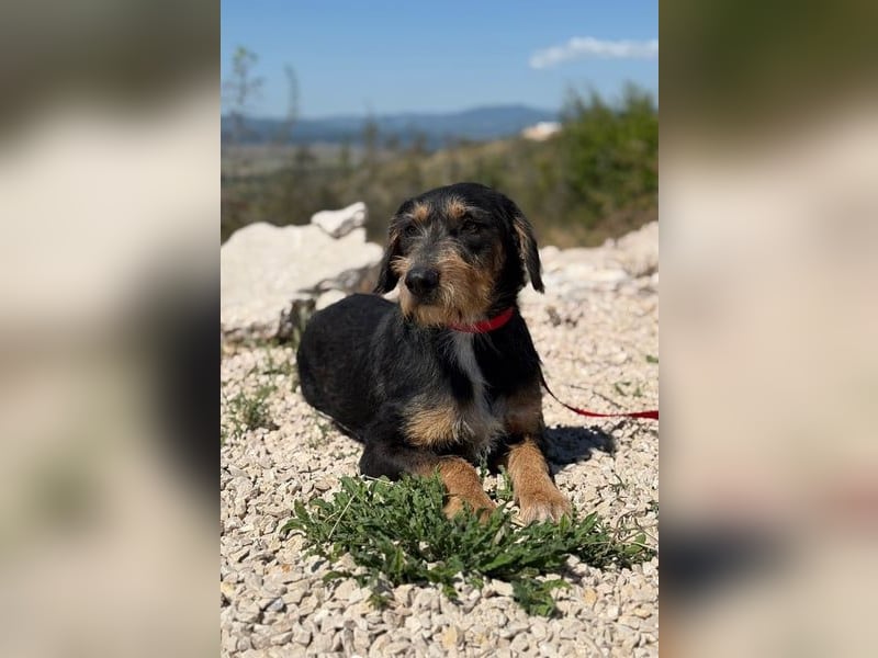 Rüdiger sucht seine Menschen