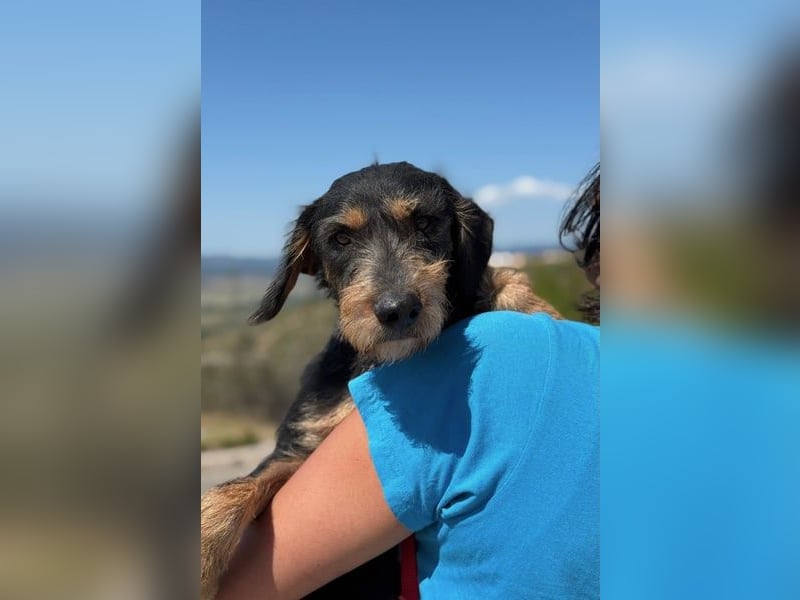 Rüdiger sucht seine Menschen