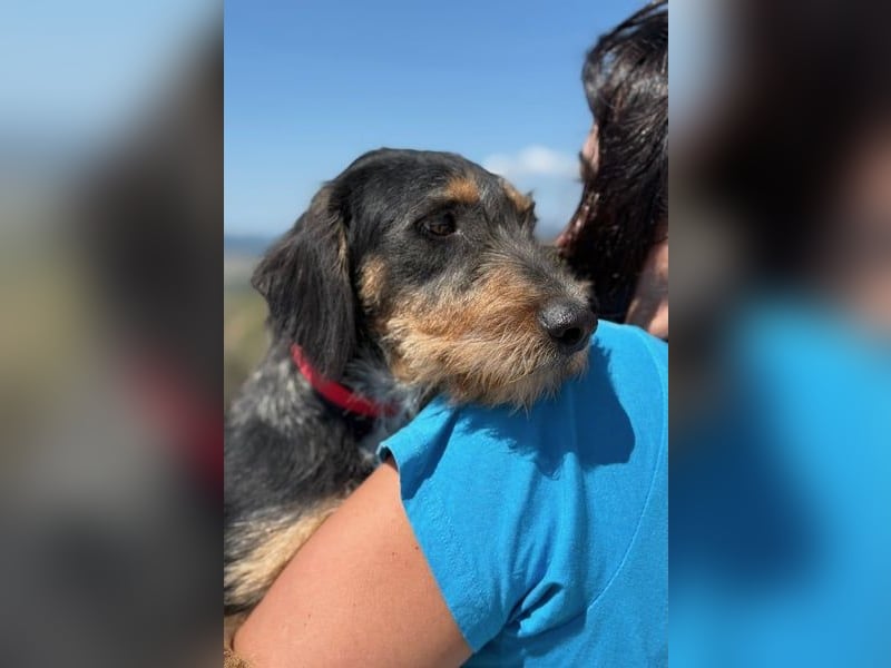 Rüdiger sucht seine Menschen