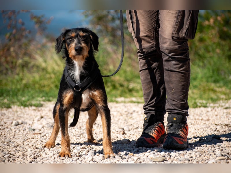 Rüdiger sucht seine Menschen
