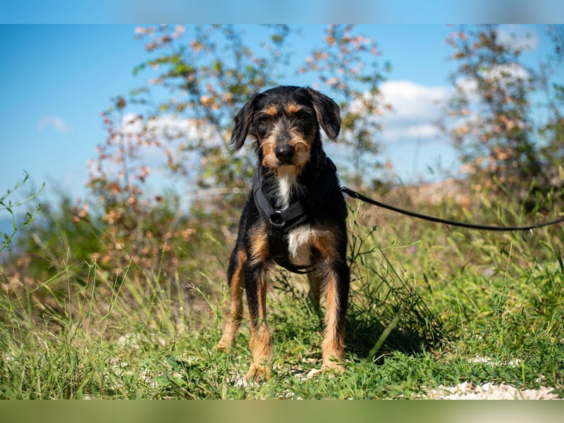 Rüdiger sucht seine Menschen