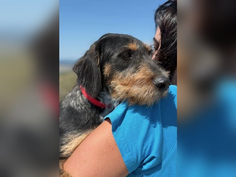 Rüdiger sucht seine Menschen