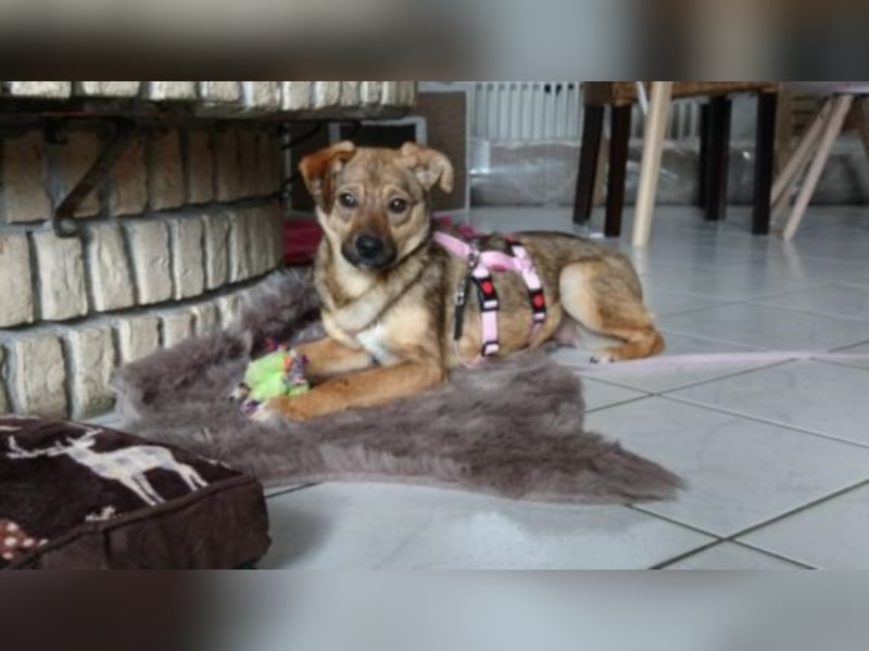 Gladys sucht eine Familie 