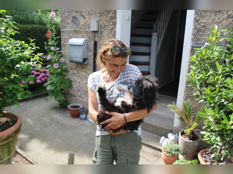 Hundeopi Walter sucht ein Zuhause