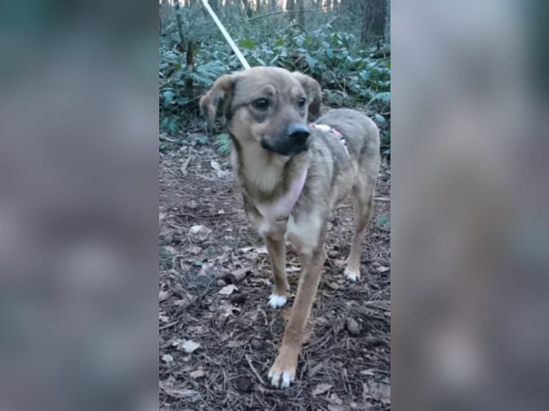 Gladys sucht eine Familie 