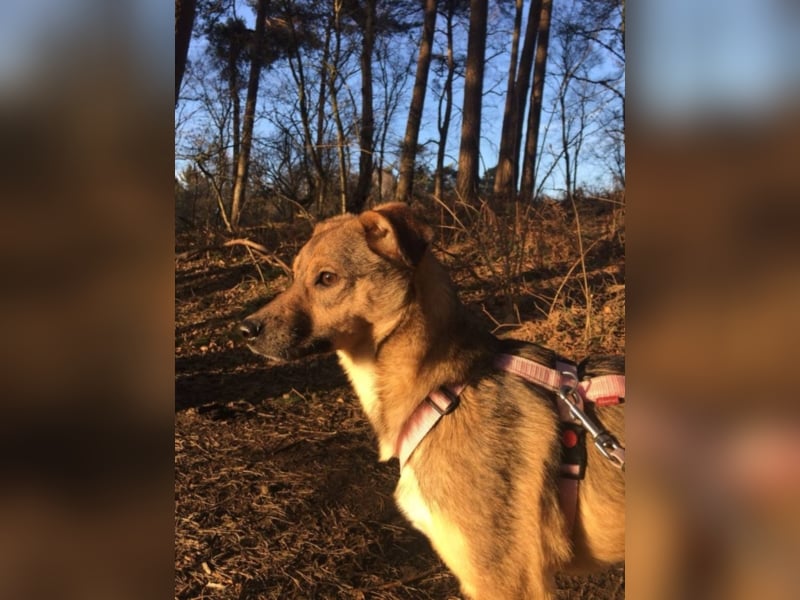 Gladys sucht eine Familie 