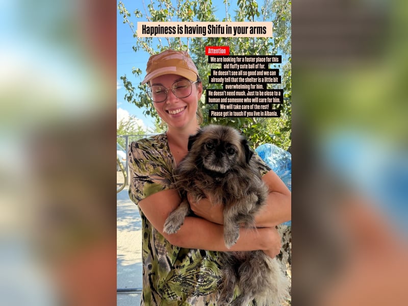 Shifu (8) sucht ein kuscheliges Plätzchen