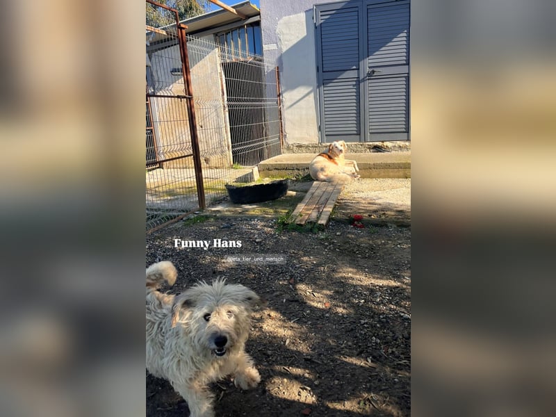 Hans (6) sucht ein gemütliches Plätzchen