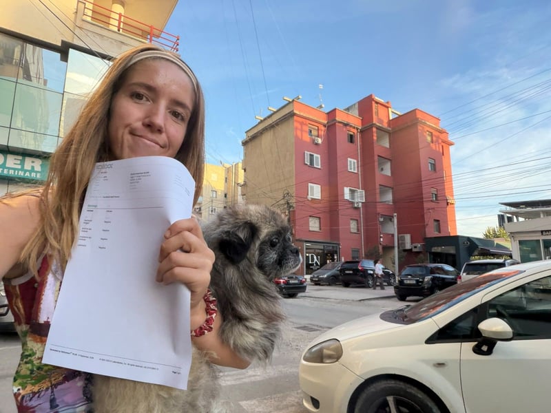 Shifu (8) sucht ein kuscheliges Plätzchen