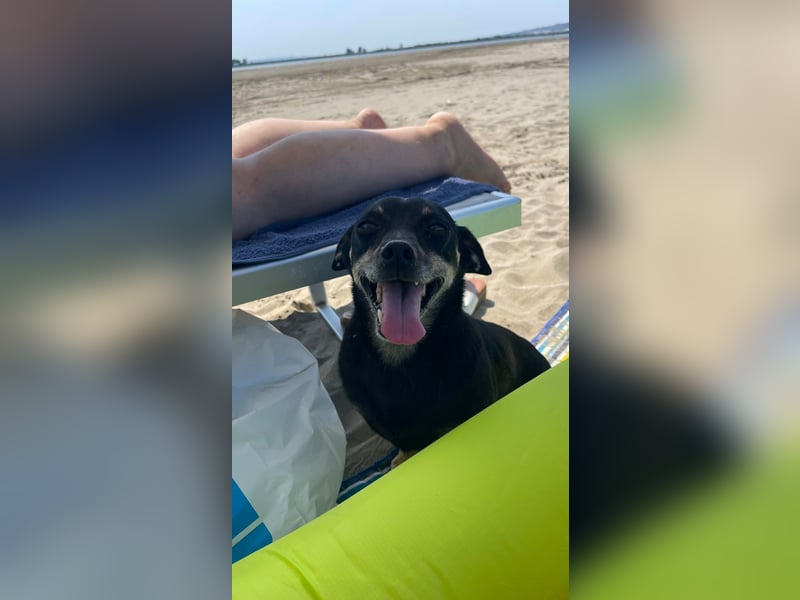 Benji & Lala (beide 5) suchen gemeinsam ein Zuhause
