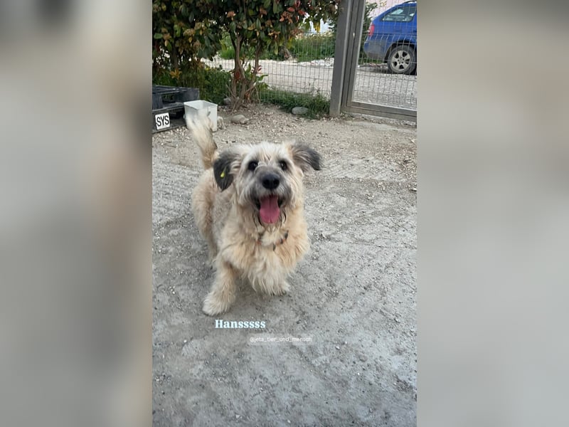 Hans (6) sucht ein gemütliches Plätzchen
