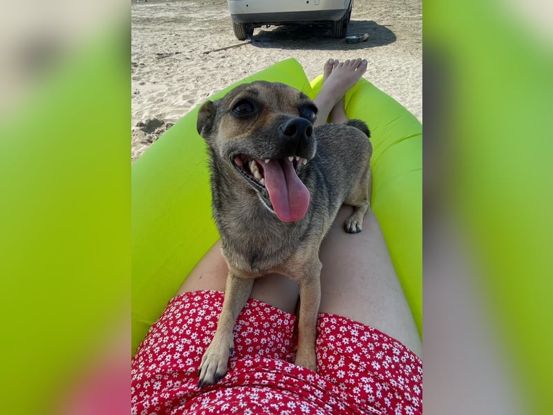 Benji & Lala (beide 5) suchen gemeinsam ein Zuhause
