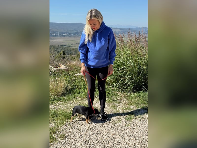 Avani - Kleine Hündin mit großem Herz