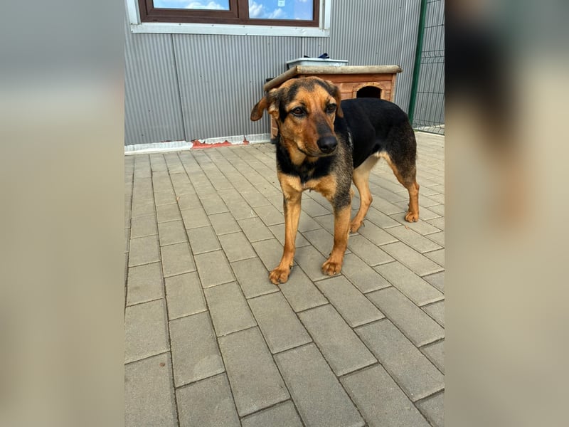 Zarte Hazel wartet so dringend