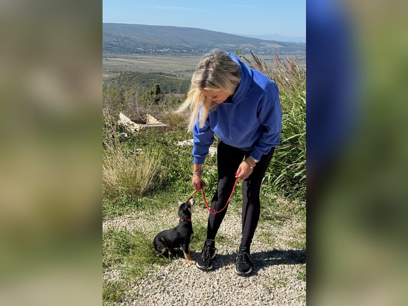 Avani - Kleine Hündin mit großem Herz