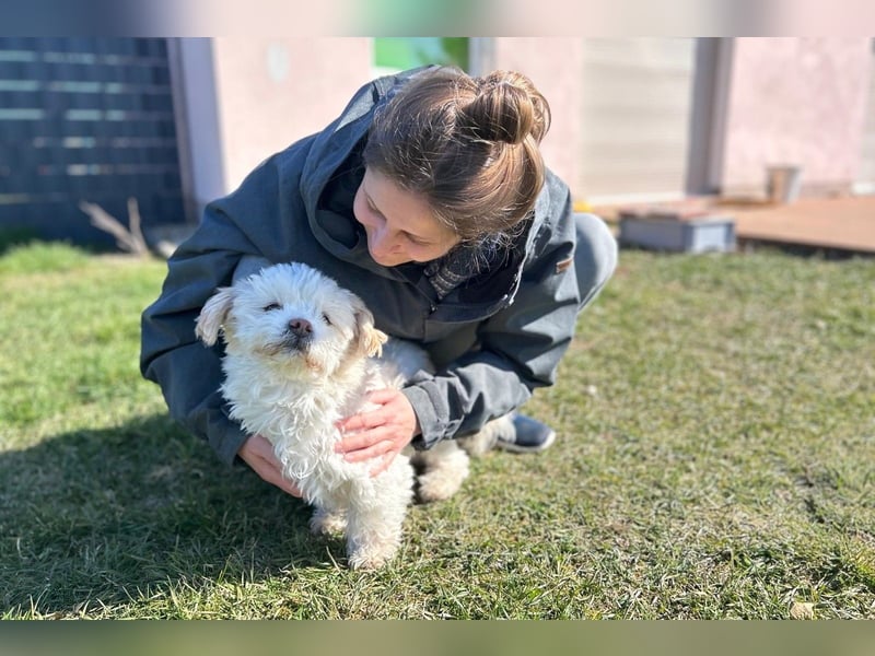 Fonsi - Glückspilz sucht Gleichgesinnte (15938 Drahnsdorf)