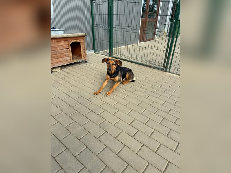 Zarte Hazel wartet so dringend