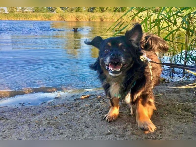 Nannos Charme muss man einfach erliegen! (15345 Reichenow-Möglin)