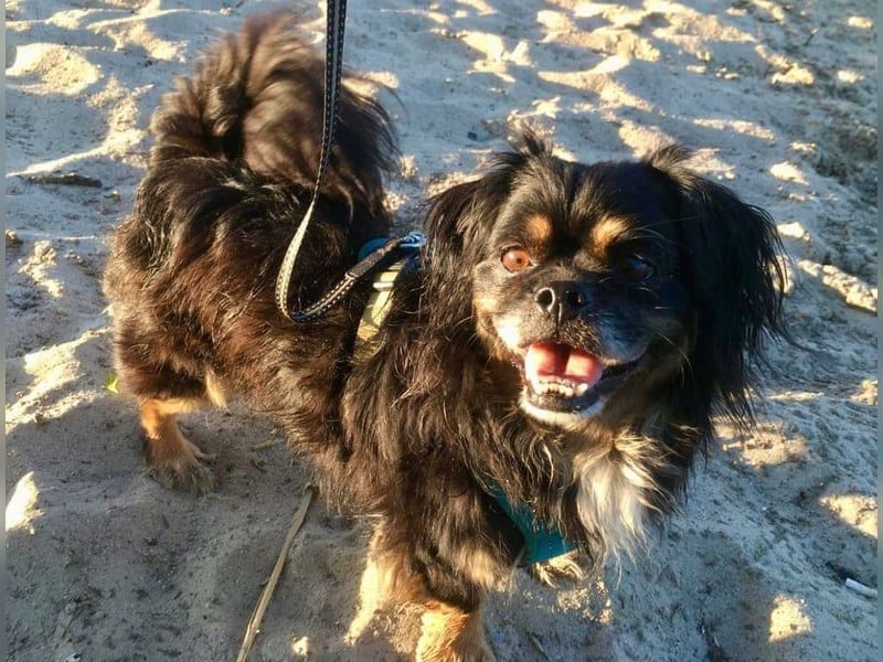 Nannos Charme muss man einfach erliegen! (15345 Reichenow-Möglin)