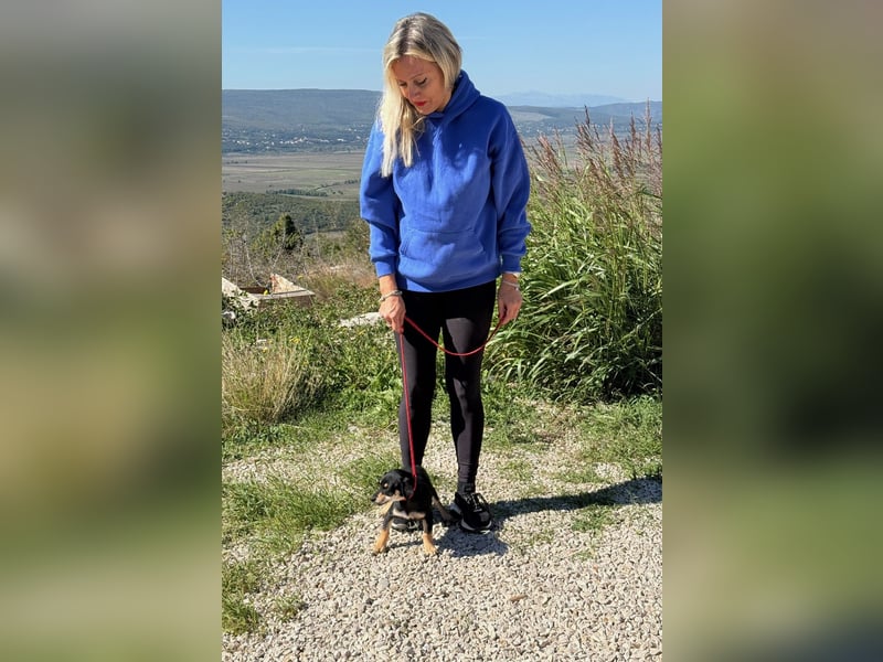 Avani - Kleine Hündin mit großem Herz