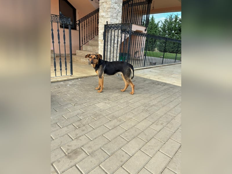 Zarte Hazel wartet so dringend