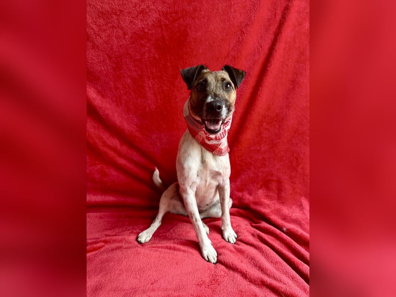 Zena - Fröhliche Abenteurerin auf der Suche nach ihrem Glück
