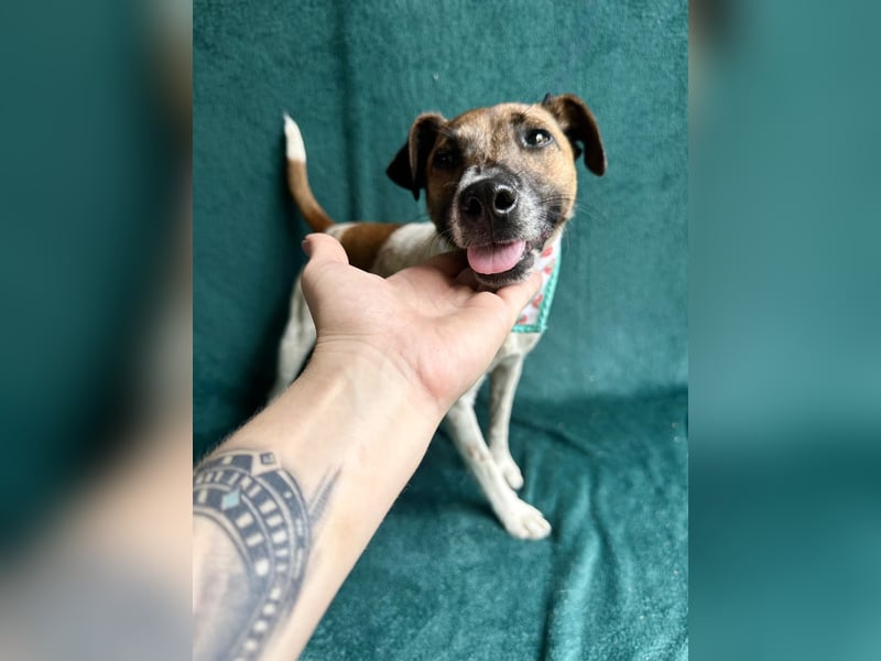 Zena - Fröhliche Abenteurerin auf der Suche nach ihrem Glück