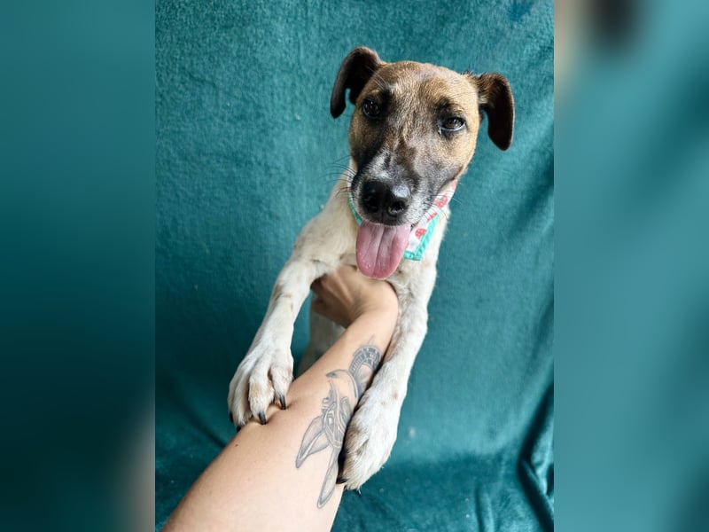 Zena - Fröhliche Abenteurerin auf der Suche nach ihrem Glück