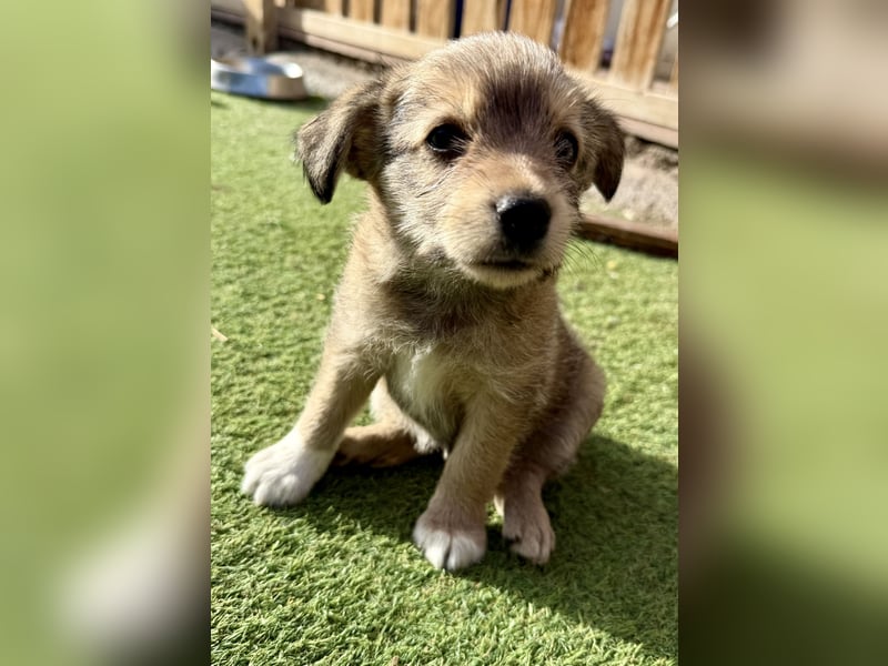 Osita