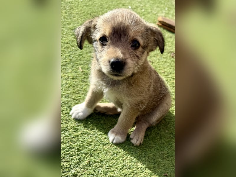 Osita