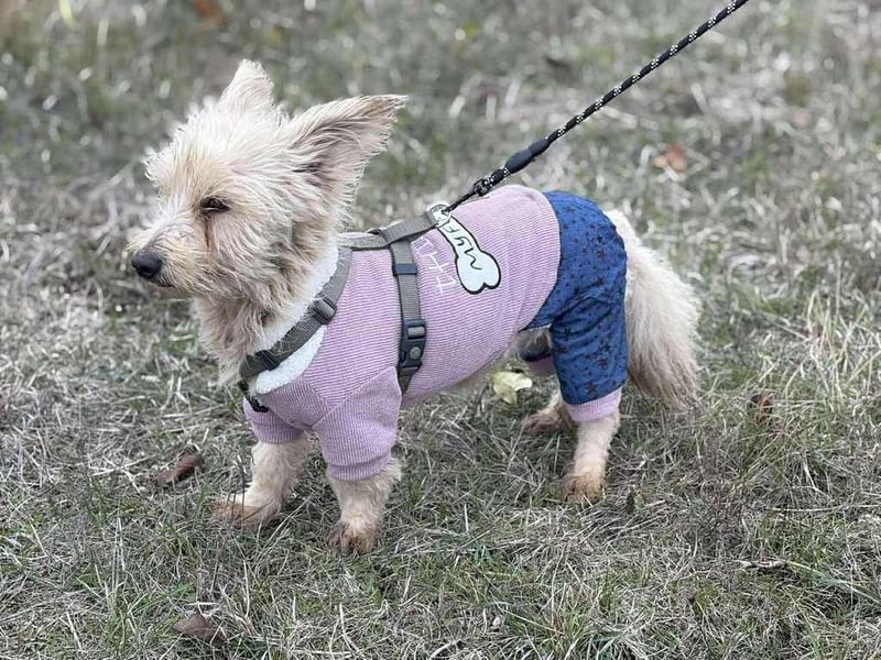 Molli, unsere kleine Prinzessin