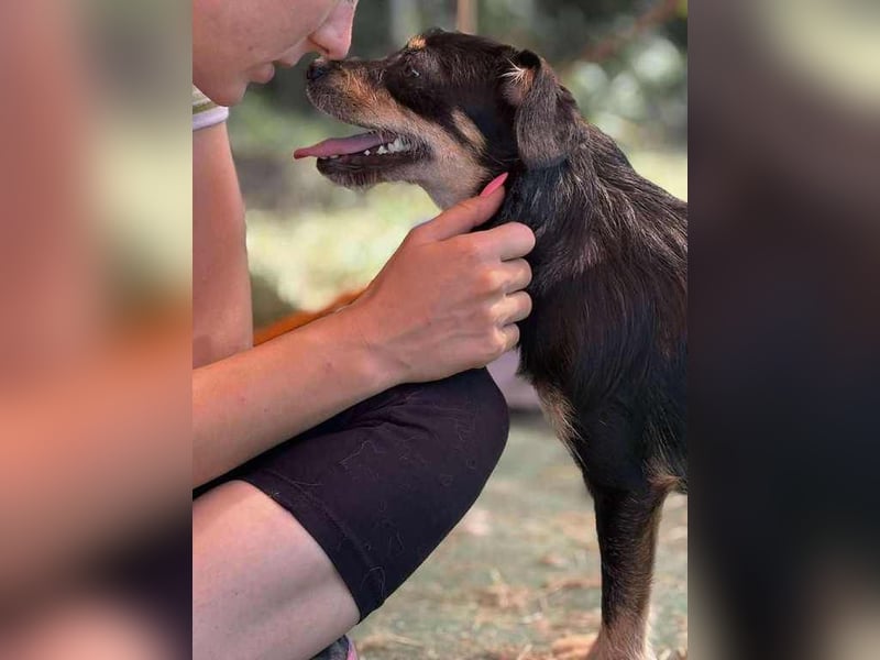 Ella, sanftes Wesen mit großem Herz