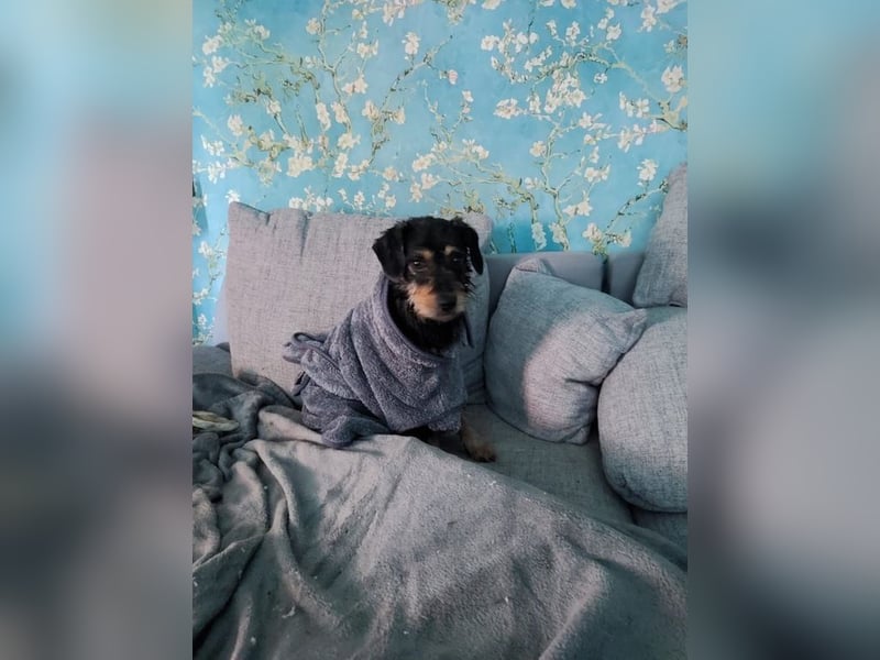 Ella, sanftes Wesen mit großem Herz