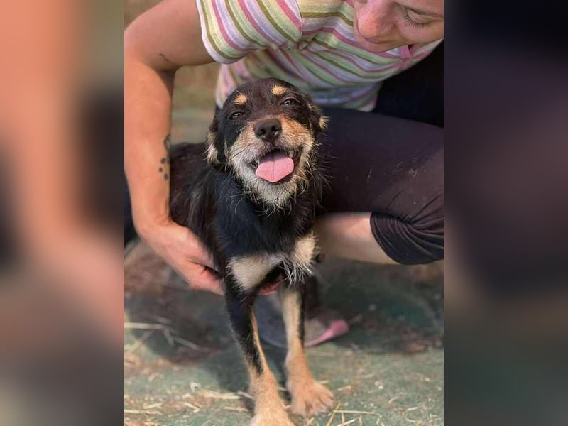 Ella, sanftes Wesen mit großem Herz