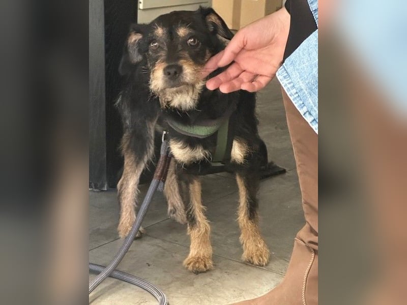 Ella, sanftes Wesen mit großem Herz