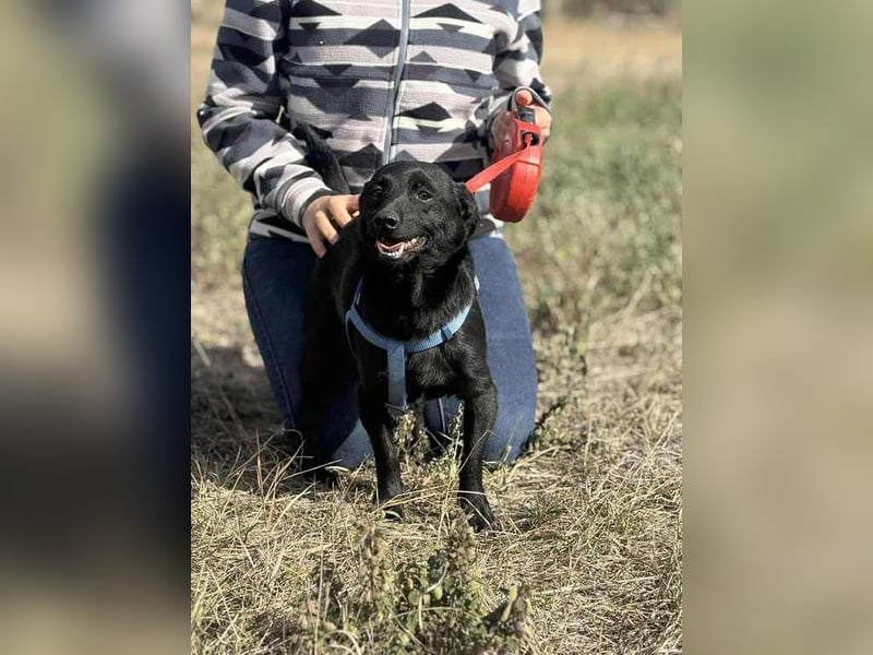 Jerry, sein Köfferchen steht schon bereit