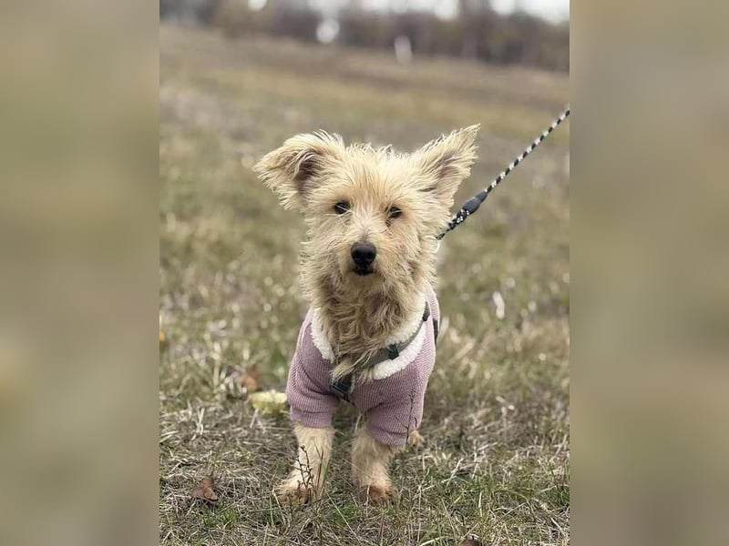 Molli, unsere kleine Prinzessin