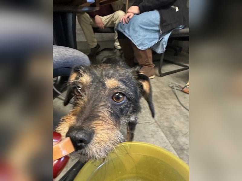 Ella, sanftes Wesen mit großem Herz