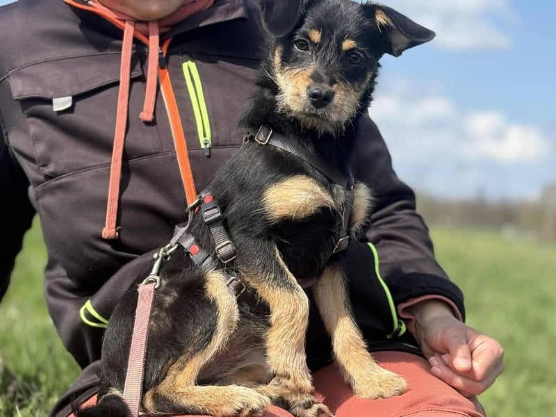 Ella, sanftes Wesen mit großem Herz