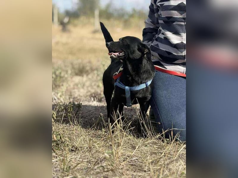 Jerry, sein Köfferchen steht schon bereit