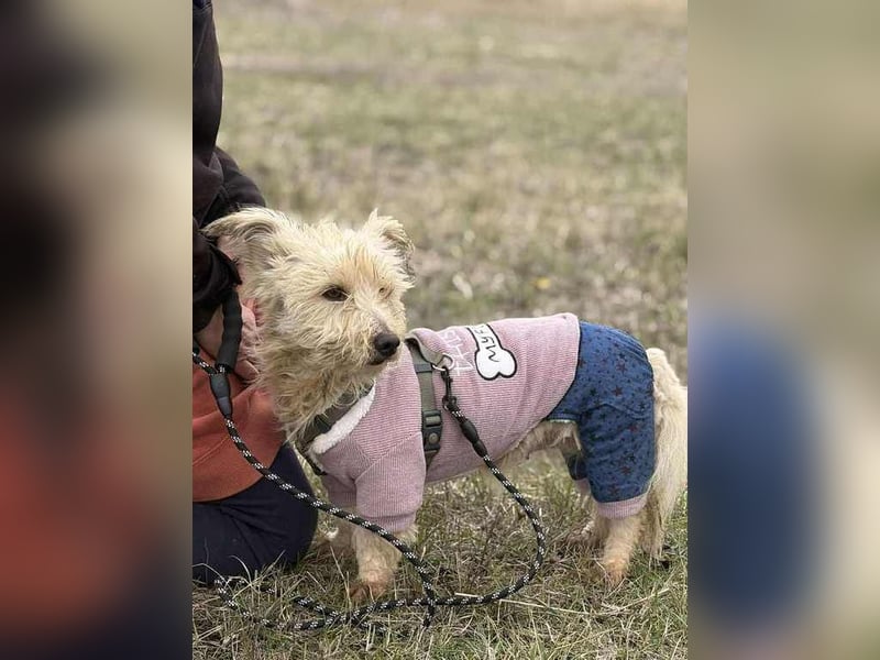 Molli, unsere kleine Prinzessin