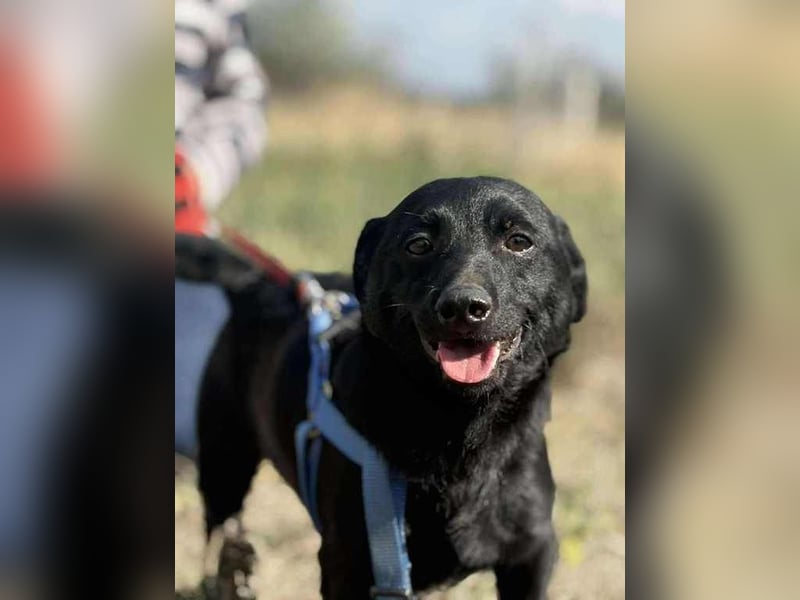 Jerry, sein Köfferchen steht schon bereit