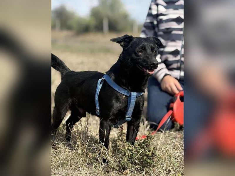 Jerry, sein Köfferchen steht schon bereit