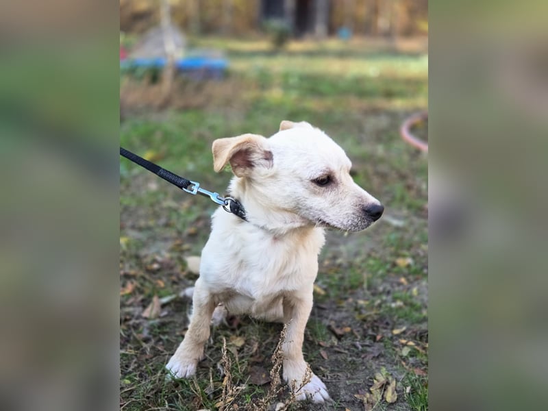 Bob BE – hätte gerne eine liebe Familie