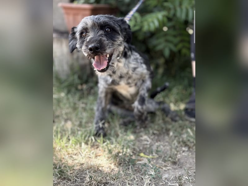 Leoni KK – tapfere Kämpferin sucht ihr Happy End