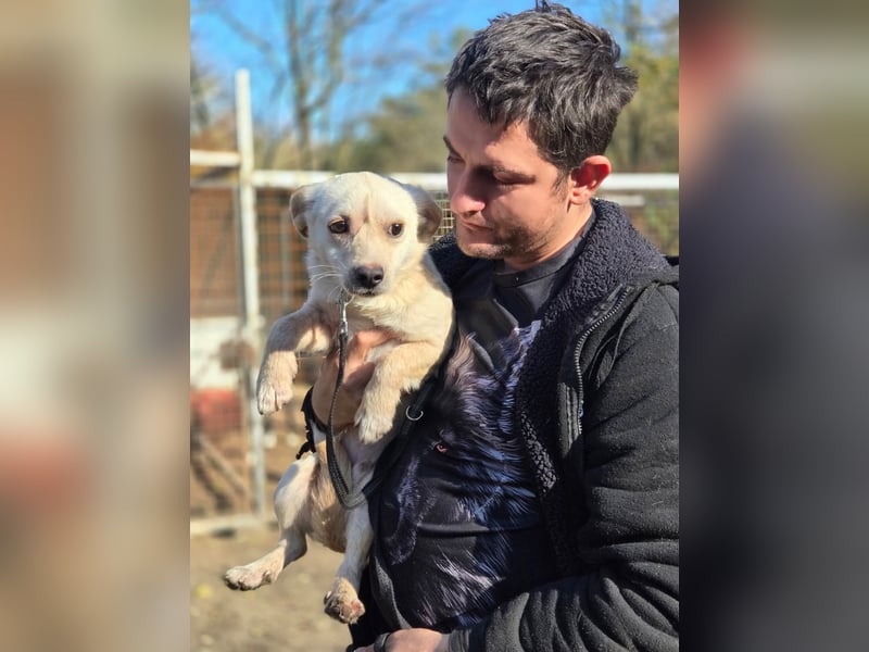 Bob BE – hätte gerne eine liebe Familie