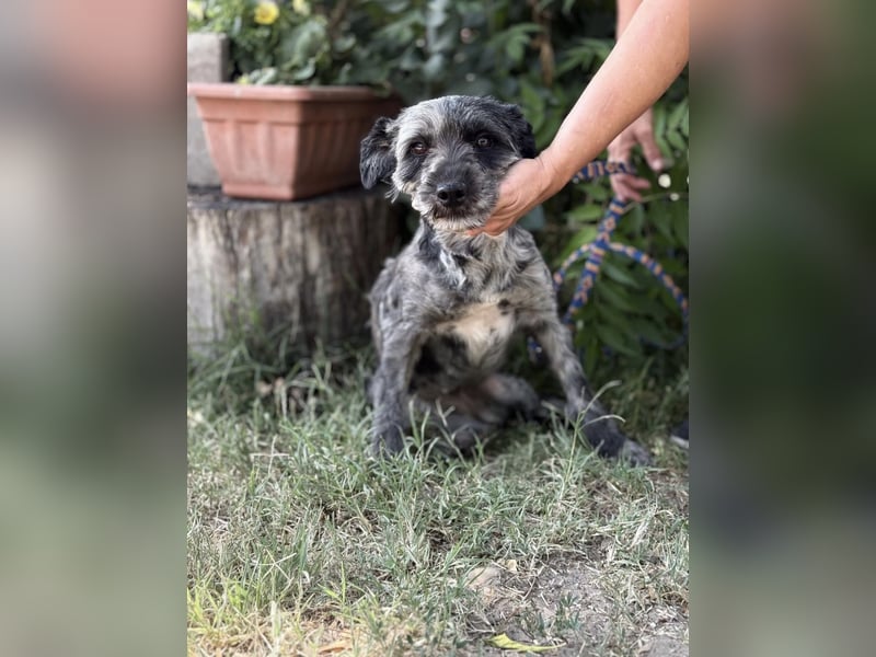 Leoni KK – tapfere Kämpferin sucht ihr Happy End