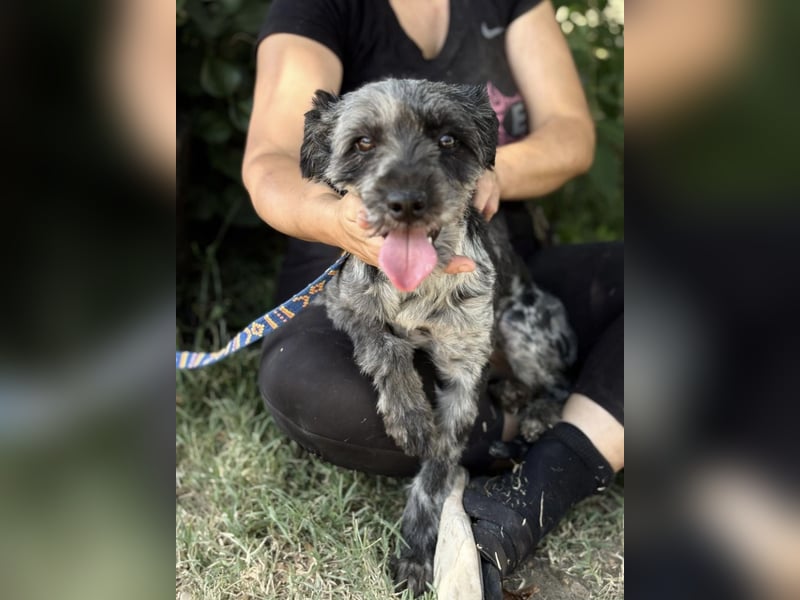 Leoni KK – tapfere Kämpferin sucht ihr Happy End