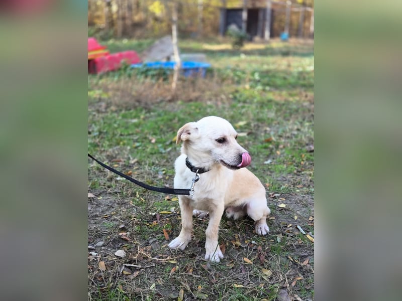 Bob BE – hätte gerne eine liebe Familie